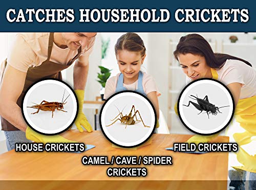 MaxGuard Trampas de cricket extra grandes (8 trampas),Tablero de pegamento extra pegajoso no tóxico pre-cebado para cricket,Trampa y matar grillos de la casa, grillos de araña, insectos