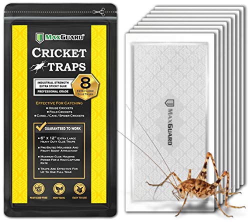 MaxGuard Trampas de cricket extra grandes (8 trampas),Tablero de pegamento extra pegajoso no tóxico pre-cebado para cricket,Trampa y matar grillos de la casa, grillos de araña, insectos