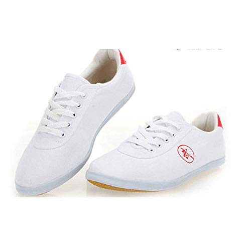Meng Zapatos de Taewondo de Artes Marciales, Deportes Unisex Transpirables Karate Kung Fu Tai Chi Zapatos for niños Adolescentes Adultos (Color : Black, Size : 43)