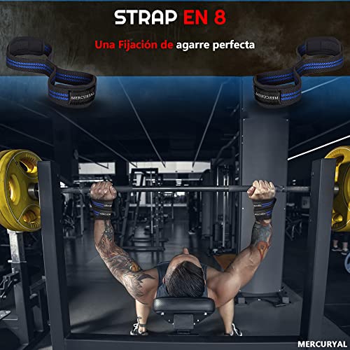 MERCURYAL Straps en 8 Gym para Nivel Avanzado y Profesional - Straps Powerlifting - Correas de Agarre en Forma de 8 de Gimansio y Peso Muerto - Accesorios Gimnasio (Azul)