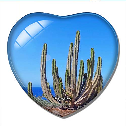 "N/A" España Imán España Tenerife Cactus Cactus Imán de Nevera 3D Artesanía Recuerdo Cristal Refrigerador Imanes Colección Regalo de Viaje