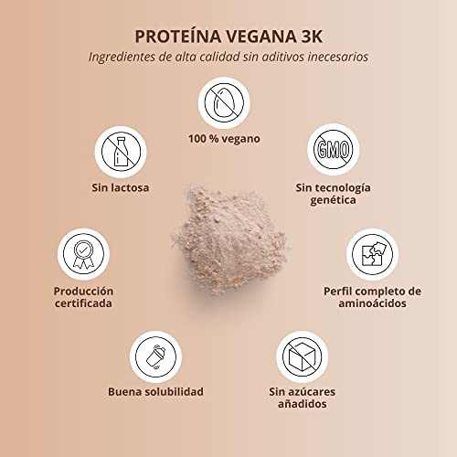 Nutri + Vegan Protein Powder Sabor Hazlenut 1kg 83% 3k Proteína de Origen Vegetal para Batidos Proteína en Polvo Avellana Sin Lactosa