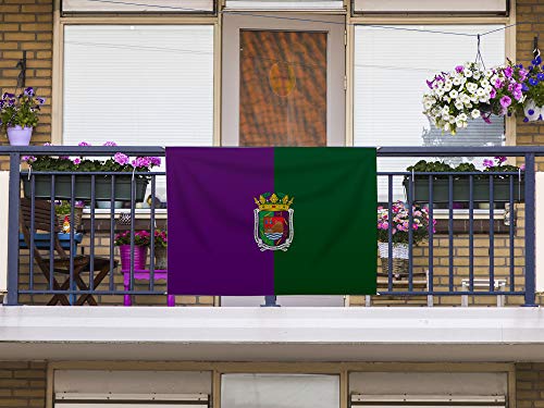 Oedim Bandera de Málaga Sin Palo | 150x85cm | Reforzada y con Pespuntes | Bandera con 4 Lazos y Resistente al Agua