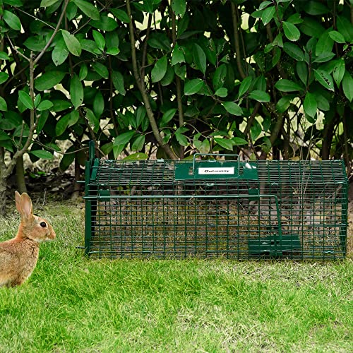 Outsunny Trampa para Animales Vivos con Puerta Jaula de Captura Metálica con Asa para Conejos Visones Pequeños 60x18x20 cm Verde Oscuro