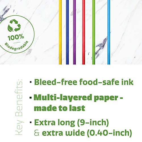 Pajitas Jumbo de papel para batidos, 100% biodegradables [100 unidades]