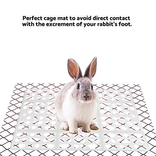 Rejilla de Estera para Conejos de plástico Fácil de Limpiar Almohadilla para pies Aislamiento de heces para Conejos Conejillo de Indias Hamster Rats y Otros roedores[Blanco] Juguetes