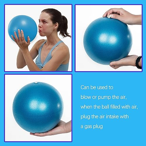 TAFACE 2 bolas de pilates de 25 cm, pequeñas y portátiles, pelotas de yoga de estiramiento, bolas de equilibrio para deportes, adecuadas para pilates, yoga, gimnasia, fitness (púrpura, azul)