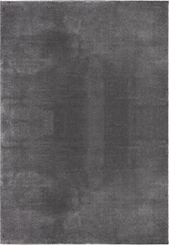 the carpet Relax - Alfombra Moderna y mullida de Pelo Corto, Parte Inferior Antideslizante, Lavable hasta 30 Grados, Muy Suave, imitación de Pelo, Color Antracita, 140 x 200 cm