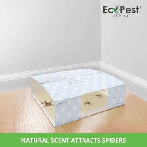 Trampa para Arañas – Paquete de 12 | Trampas de Pegamento para Interiores para Arañas y Otros Insectos