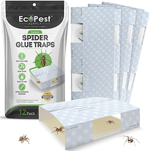 Trampa para Arañas – Paquete de 12 | Trampas de Pegamento para Interiores para Arañas y Otros Insectos