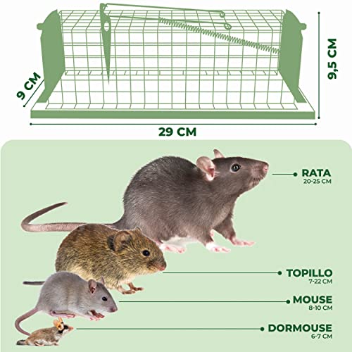 Trampa Viva para Ratas y Ratones - Durable y Reutilizable - Ratonera Grande para Animales - fácil para Usar