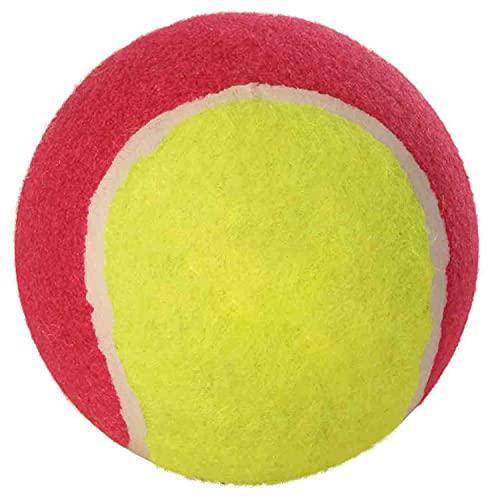 Trixie 3476 12 pelotas de tenis, diámetro 10 cm, surtidas