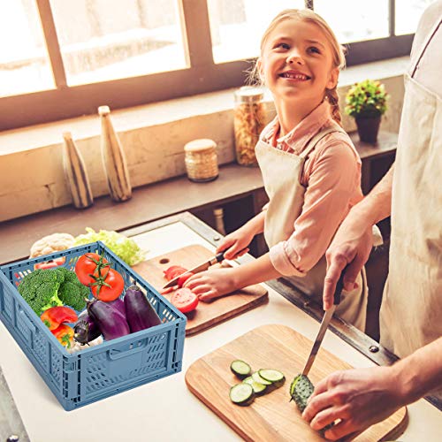 Tuevob - Caja de almacenamiento plegable de plástico para el hogar, la oficina, el dormitorio y la cocina, color azul