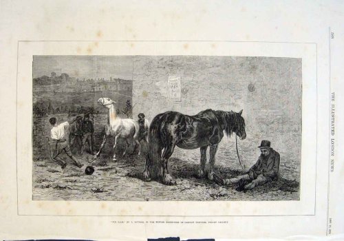 Viejo Original antiguo victoriano impresión caballo para venta por Riviere 1870 Fine Art
