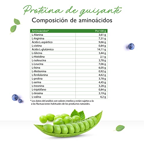Vit4ever Proteína aislada de guisante en polvo 1,1 kg / 1100 g - 87% de contenido proteico - 100% pura - Origen Bélgica - Vegano - Sin gluten, soja ni lactosa