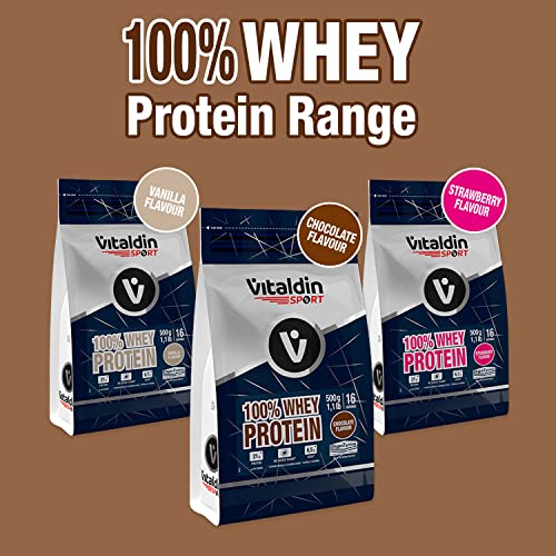 VITALDIN SPORT 100% Whey Protein 500 g – 100% Proteína de Suero de Leche en polvo con Digezyme – Aumento y Protección Muscular – Sabor Chocolate – 6,5 g de BCAA por serving – Sin Azúcares Añadidos