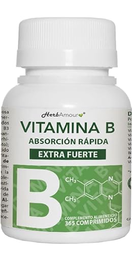VITAMINA B EXTRA FUERTE | 365 Comprimidos (Suministro Por 12 Meses) | Complejo de Vitamina B con Vitamina B1, B2, B3, B5, B6, B12, con Biotina, Ácido Fólico y Vitamina B12 | Sin Gluten Y Lactosa
