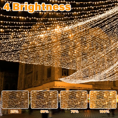 Withosent Luces Navidad, 30M 300 LED Luces para Arbol de Navidad, 8 Modos con Función de Memoria Luz Cadena Ligera Navidad para Jardín, Balcón, Interior, Boda, Fiesta Christmas Lights - Blanco Cálido