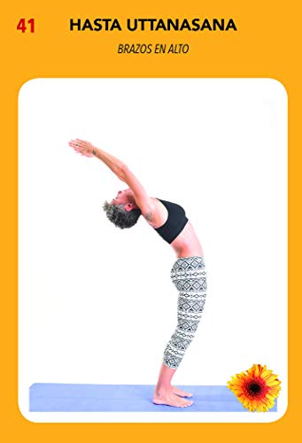 Yoga Organizer: 396 fichas separables con todas las posturas para organizar y personalizar tu práctica (SIN COLECCION)